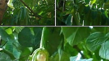 Desi indian girlfriend with Indian bhabhi and sister and mom